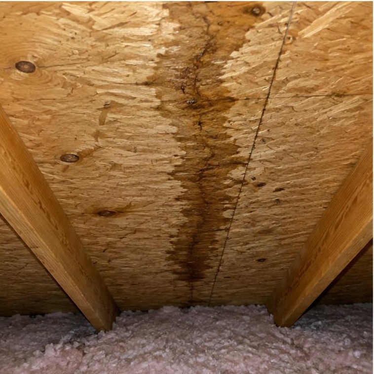 Stained roof decking