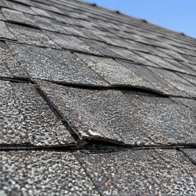 Creased wind-lifted shingles