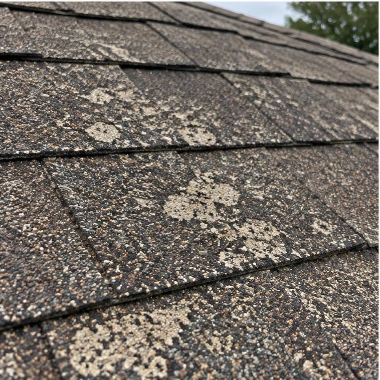 Patchy shingle granule loss