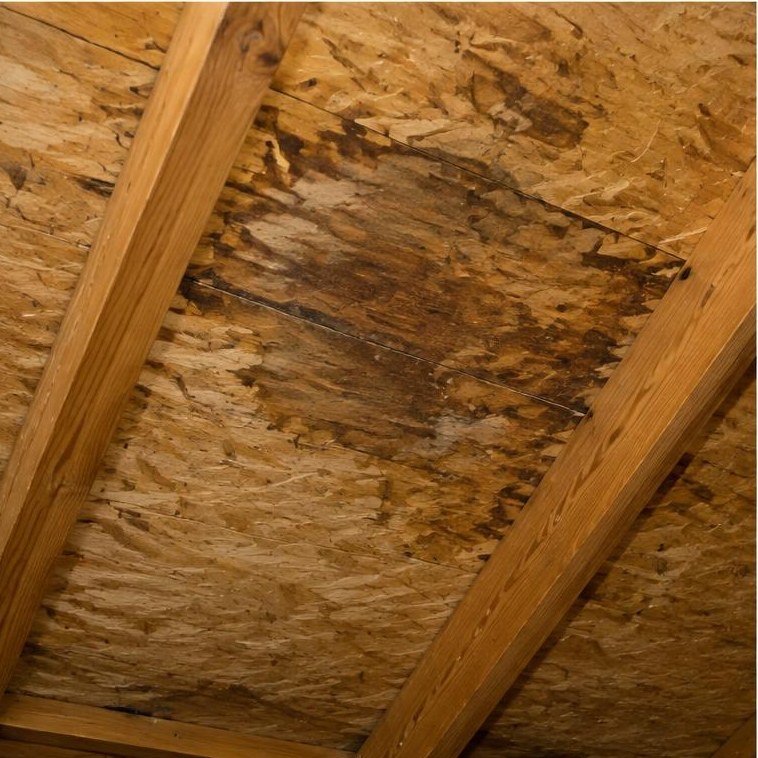 Water stains on roof decking