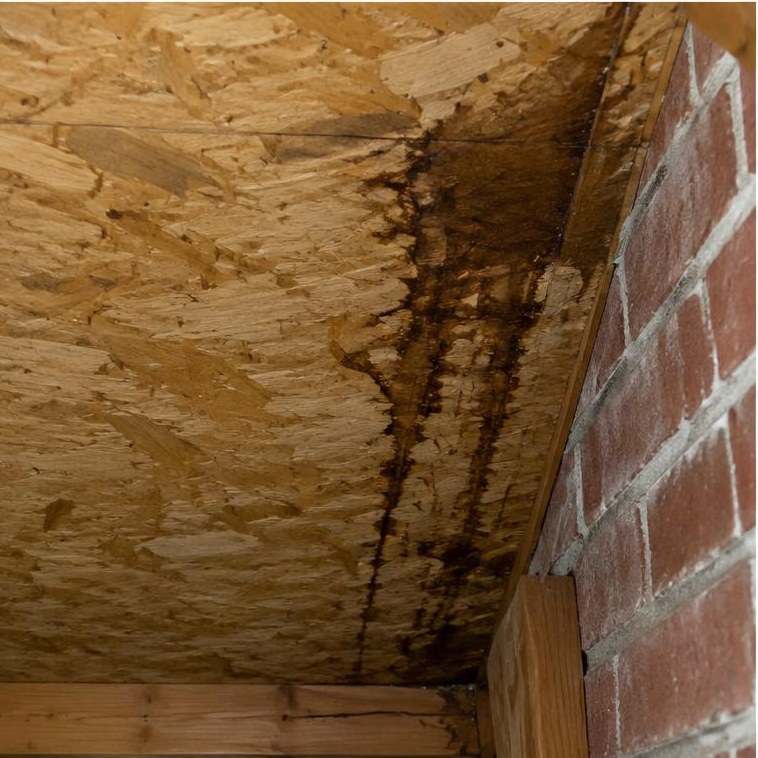 Stained roof wood