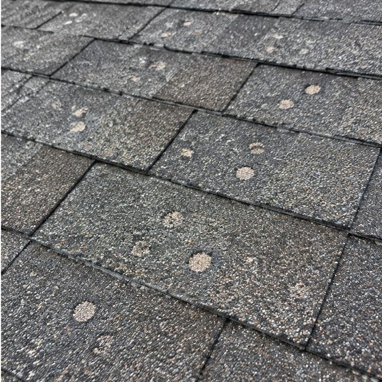 Granule loss on shingles