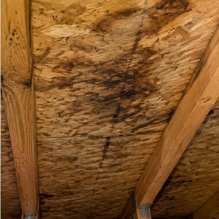Stains on roof wood