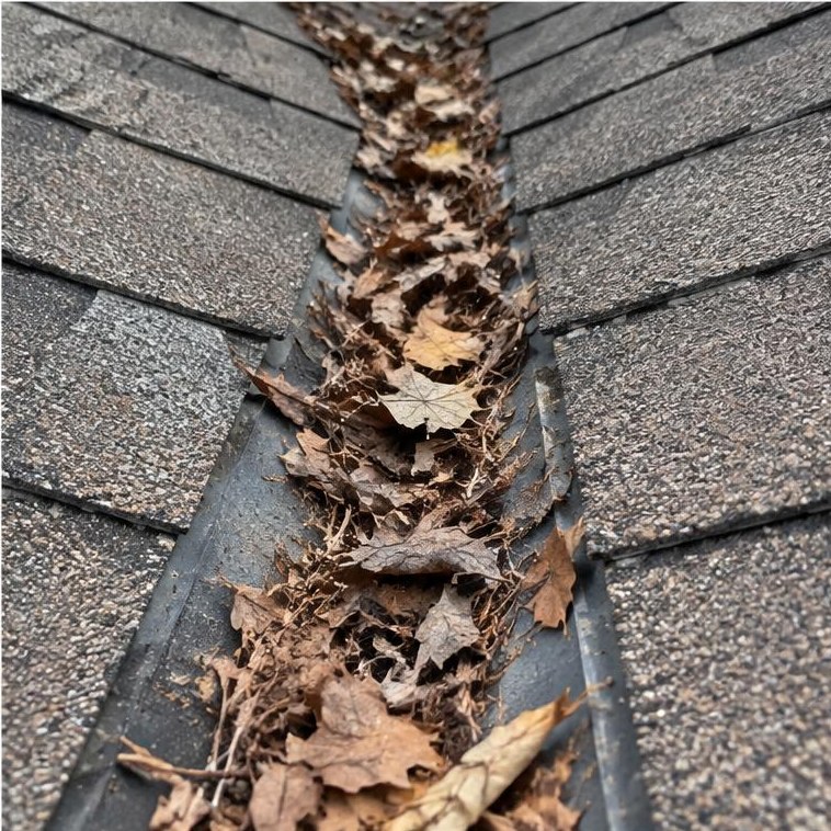Leaves along a roof valley