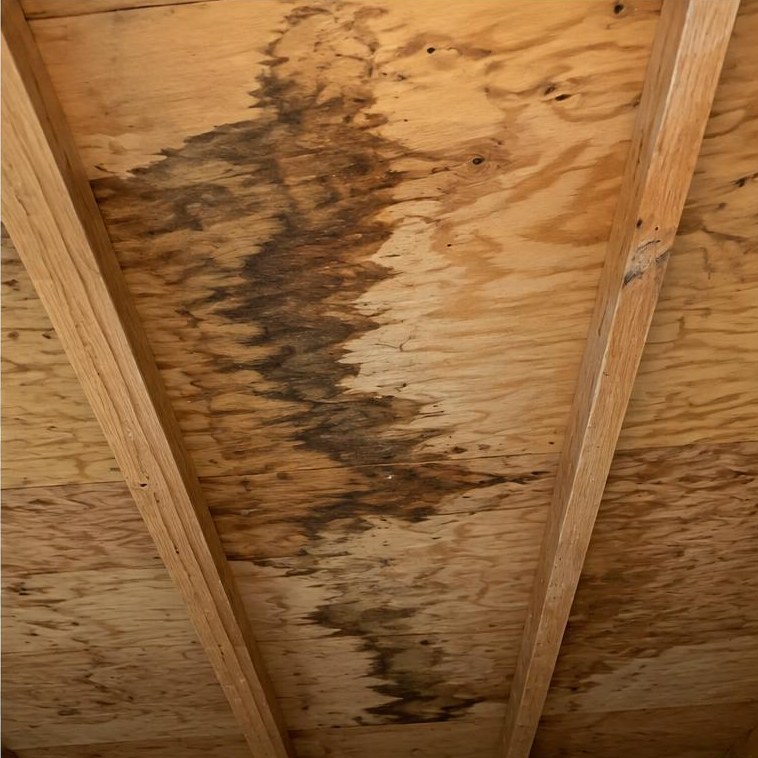 Water stains on roof decking