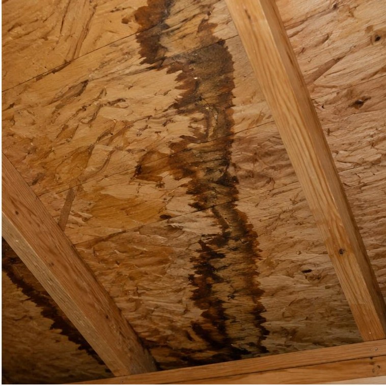 Water stain on attic wood