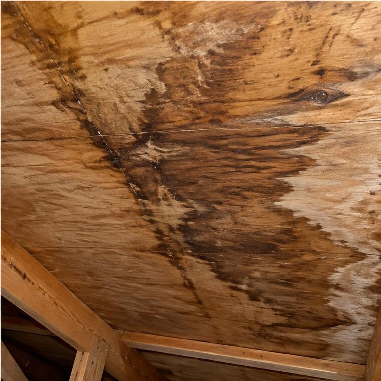 Stained roof decking