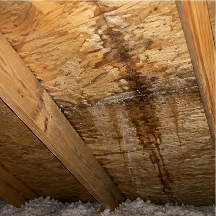 Water stains on roof wood