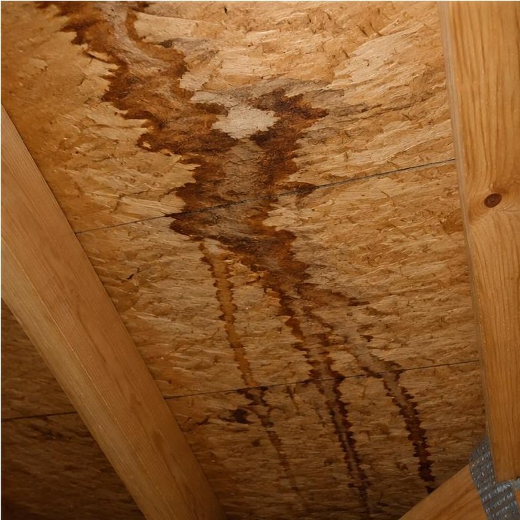 Stains under roof decking