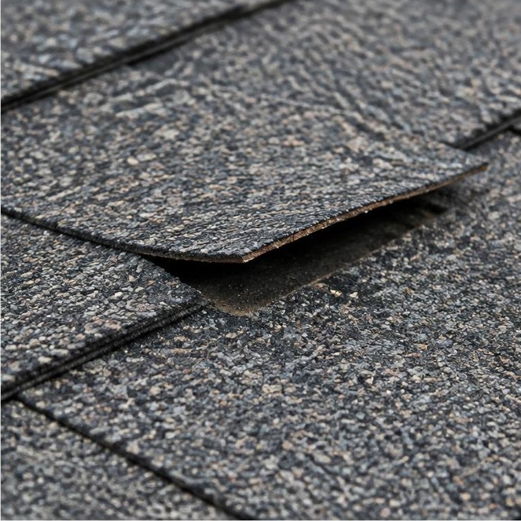 Close view of asphalt shingles