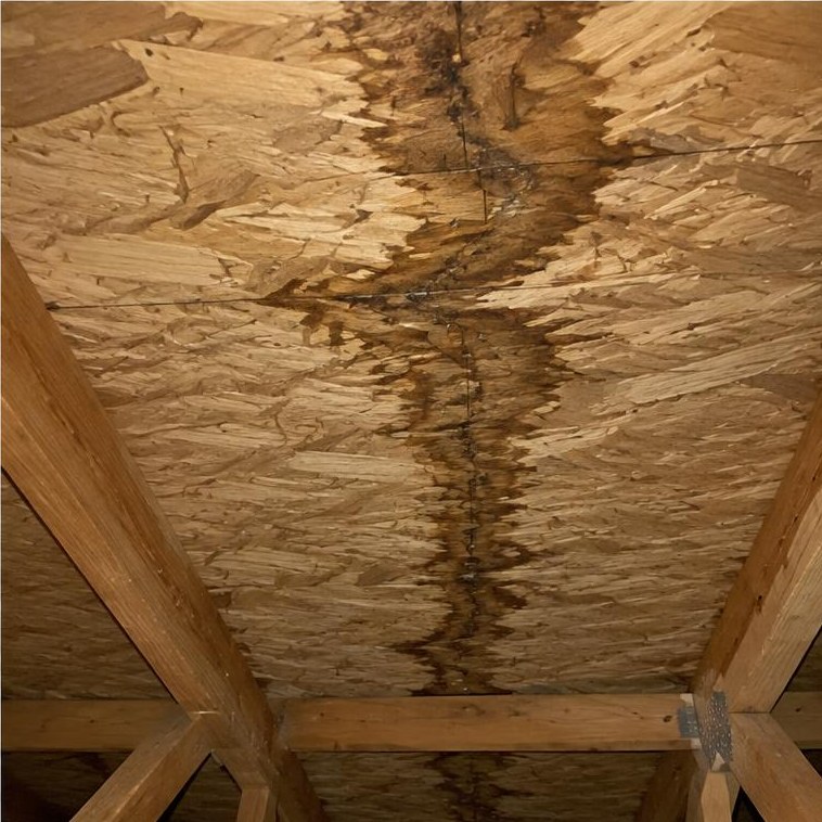 Stained wood below the roof